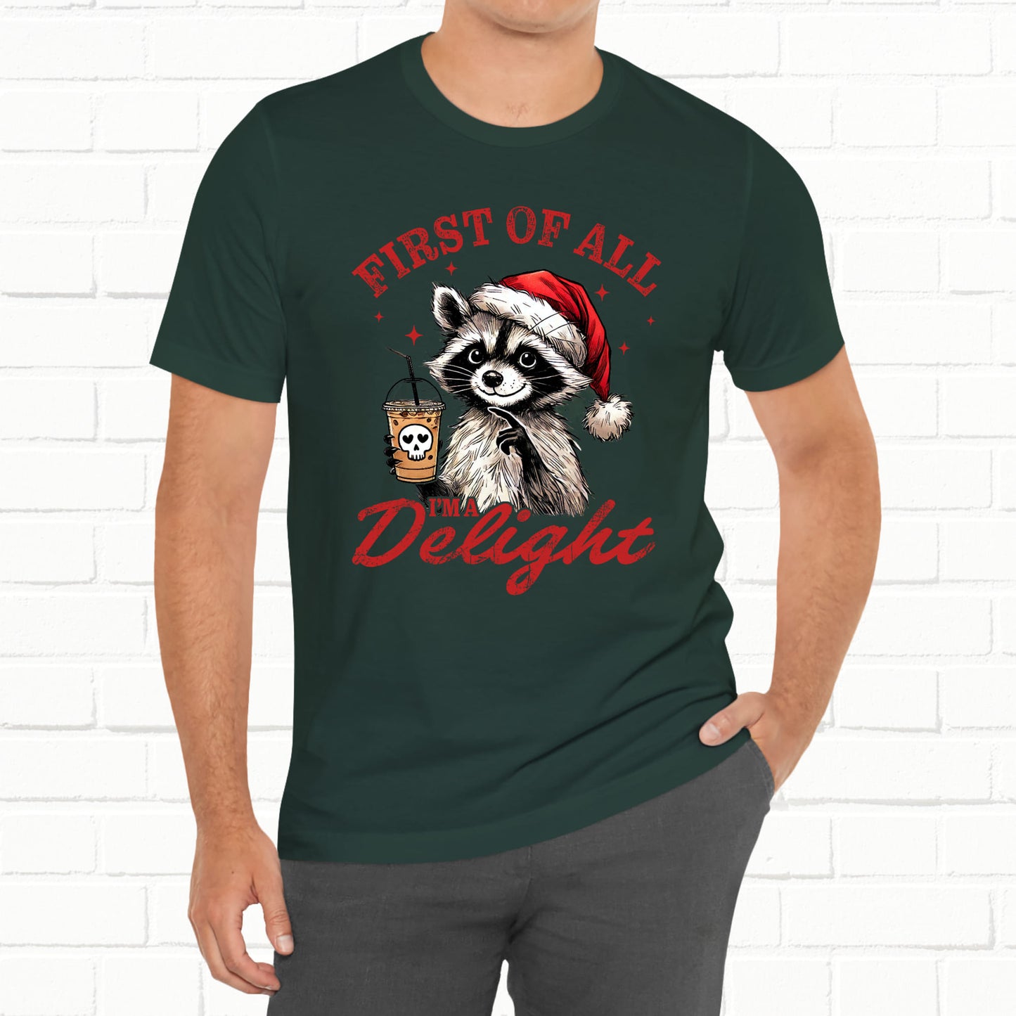Raccoon I'm A Delight Funny Unisex Christmas T-Shirt
