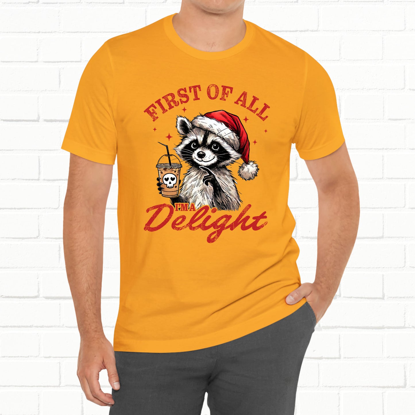Raccoon I'm A Delight Funny Unisex Christmas T-Shirt
