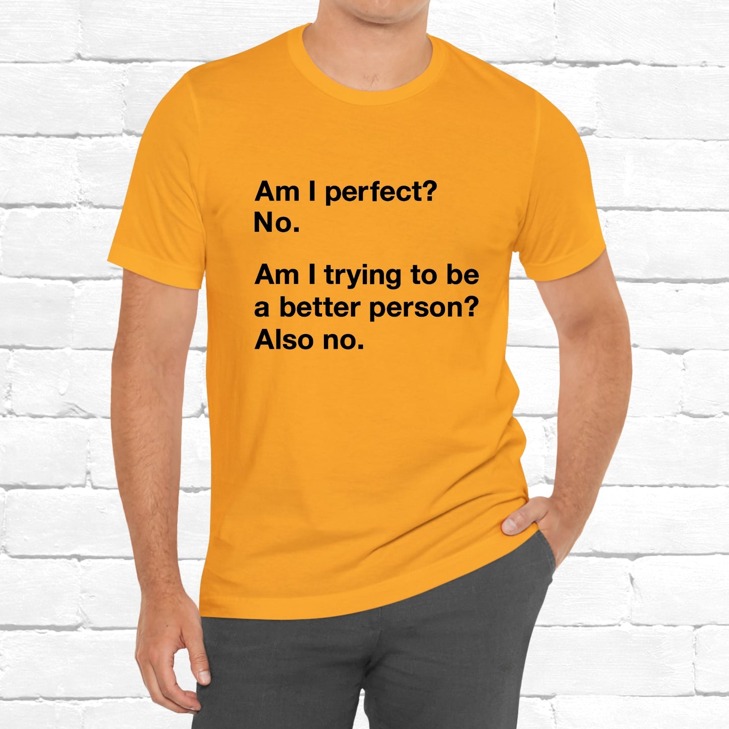 Am I Perfect No, Am I Trying To Be A Better Person? Also No. Funny Quote Unisex T-Shirt