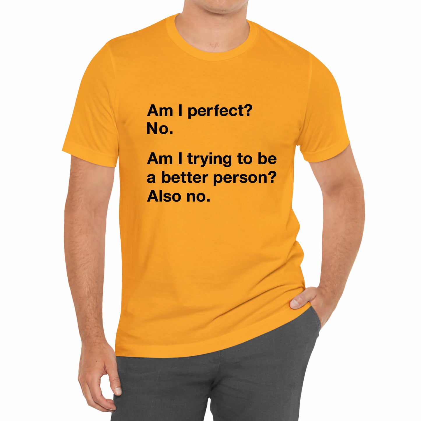 Am I Perfect No, Am I Trying To Be A Better Person? Also No. Funny Quote Unisex T-Shirt
