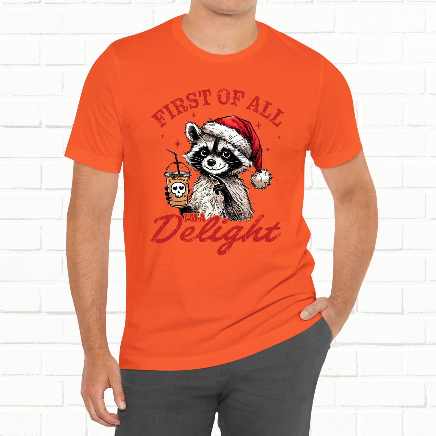 Raccoon I'm A Delight Funny Unisex Christmas T-Shirt